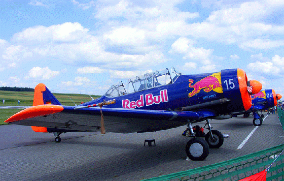 2008-06-hdb-Red-Bull-Team