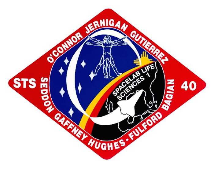 sts-40-patch