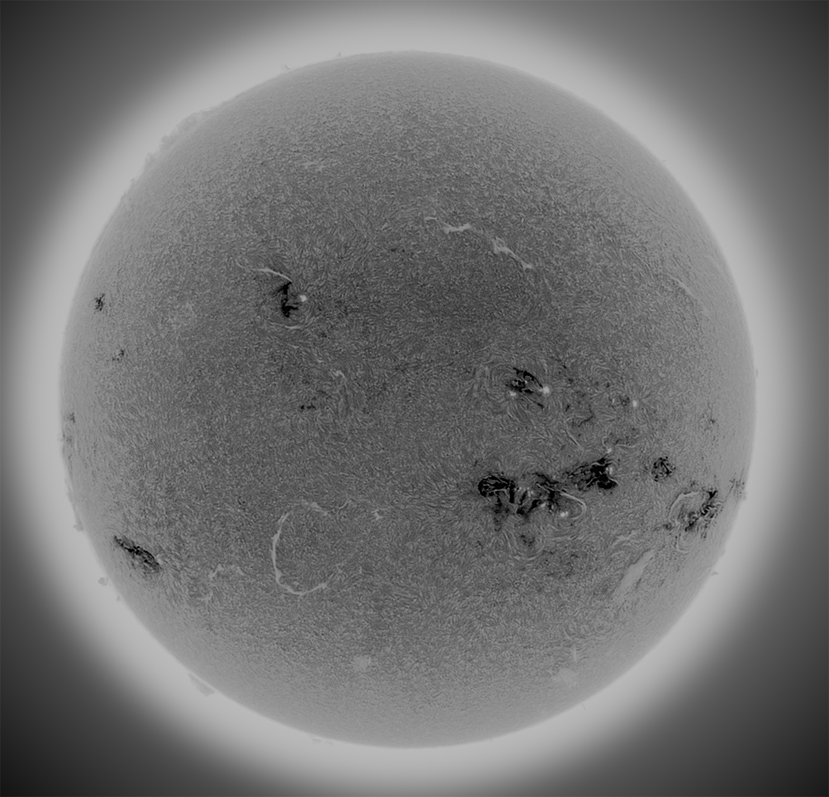 05-ha-sonne-2024-07-31-tx-1200-c