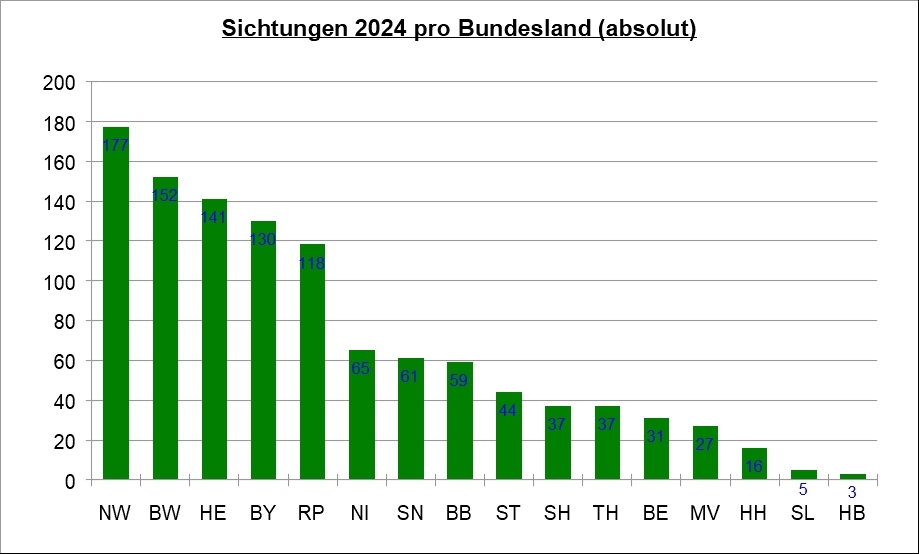 06-sichtungen-2024-diagramm-bundesland-abs