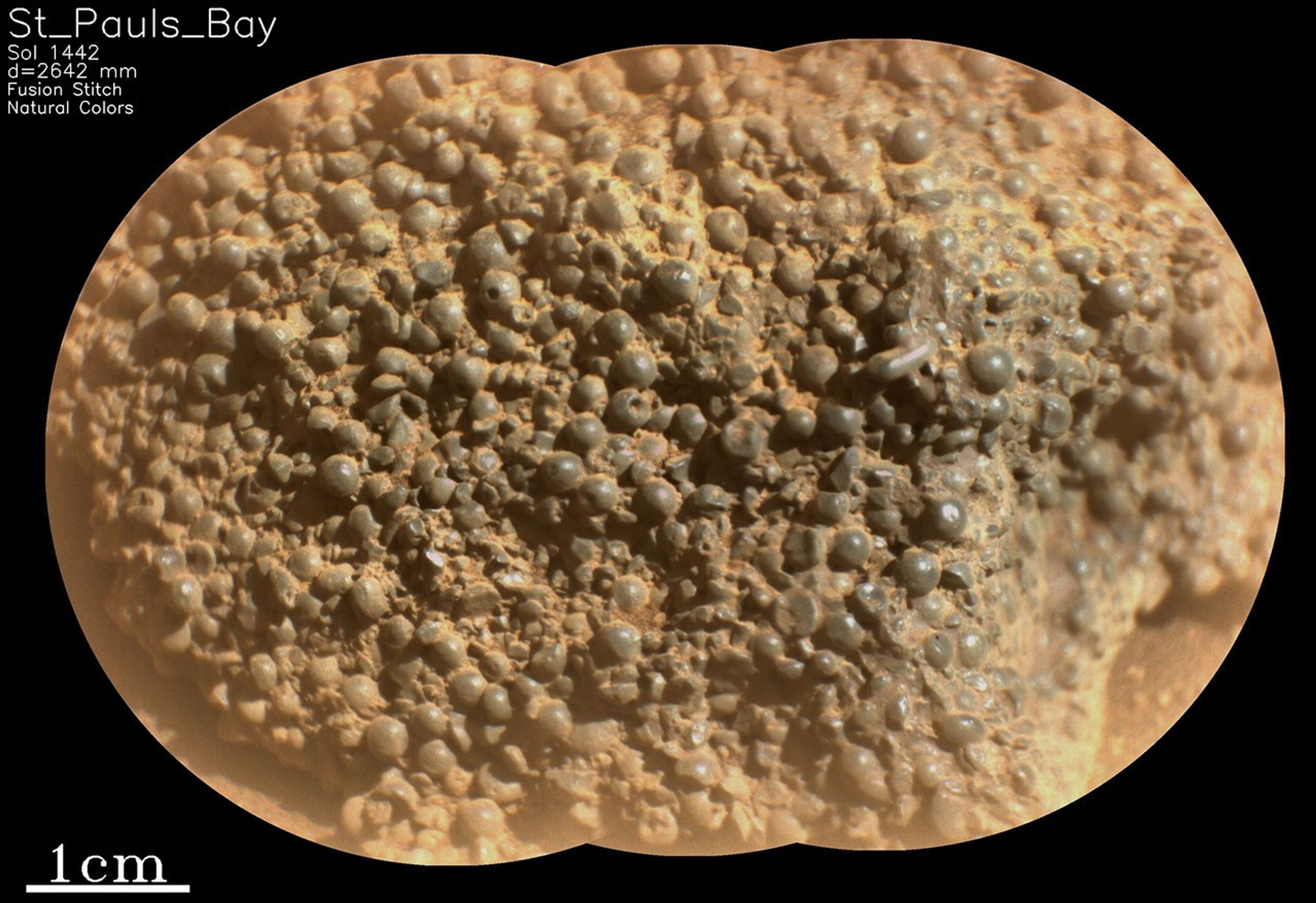 ascam-sol1442-scam01442-mos-lr08-fus-rgb-----st-pauls-bay---------p01