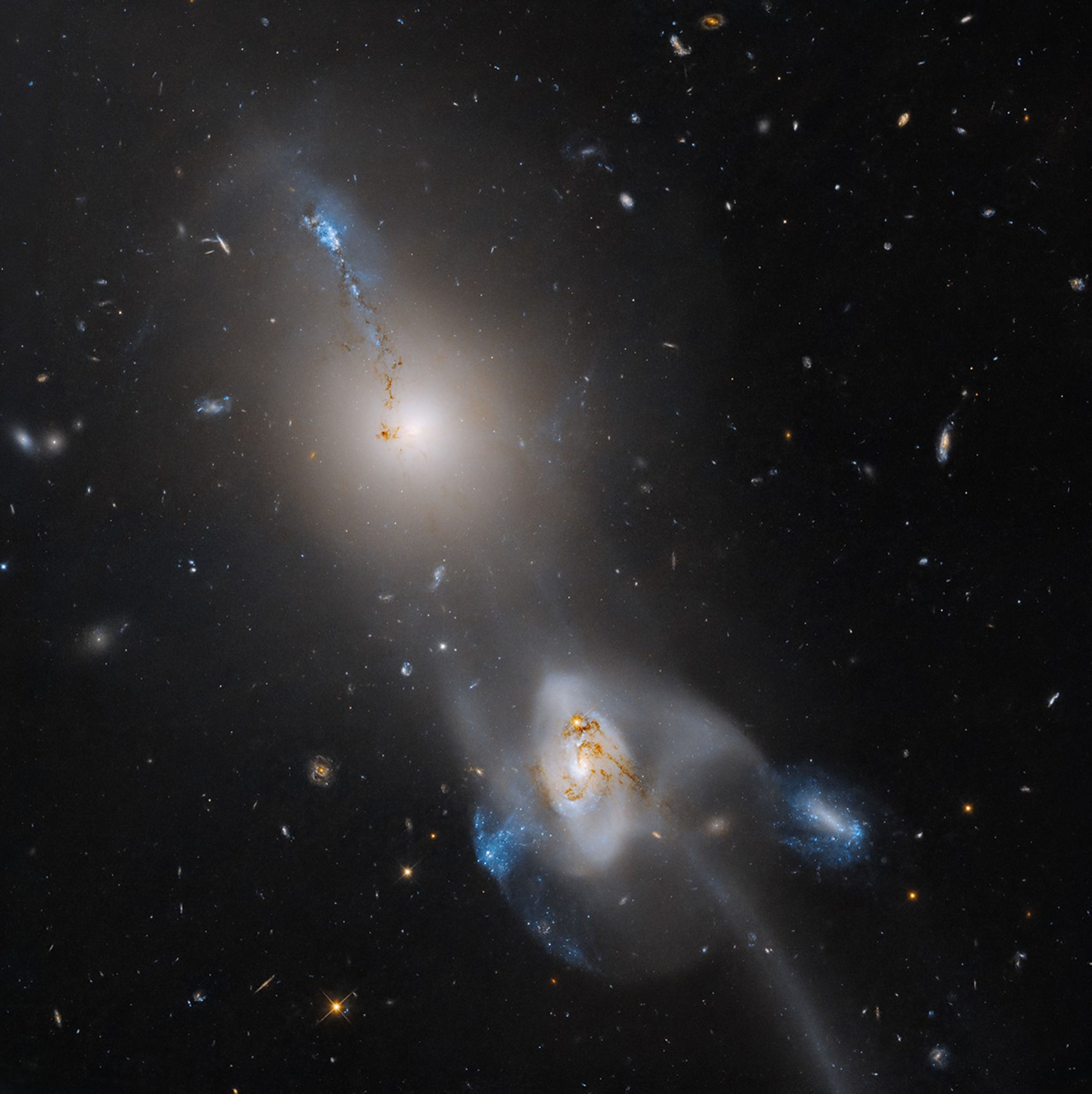 hubble-arp105-wfc3-mstr-flat-cont-final2