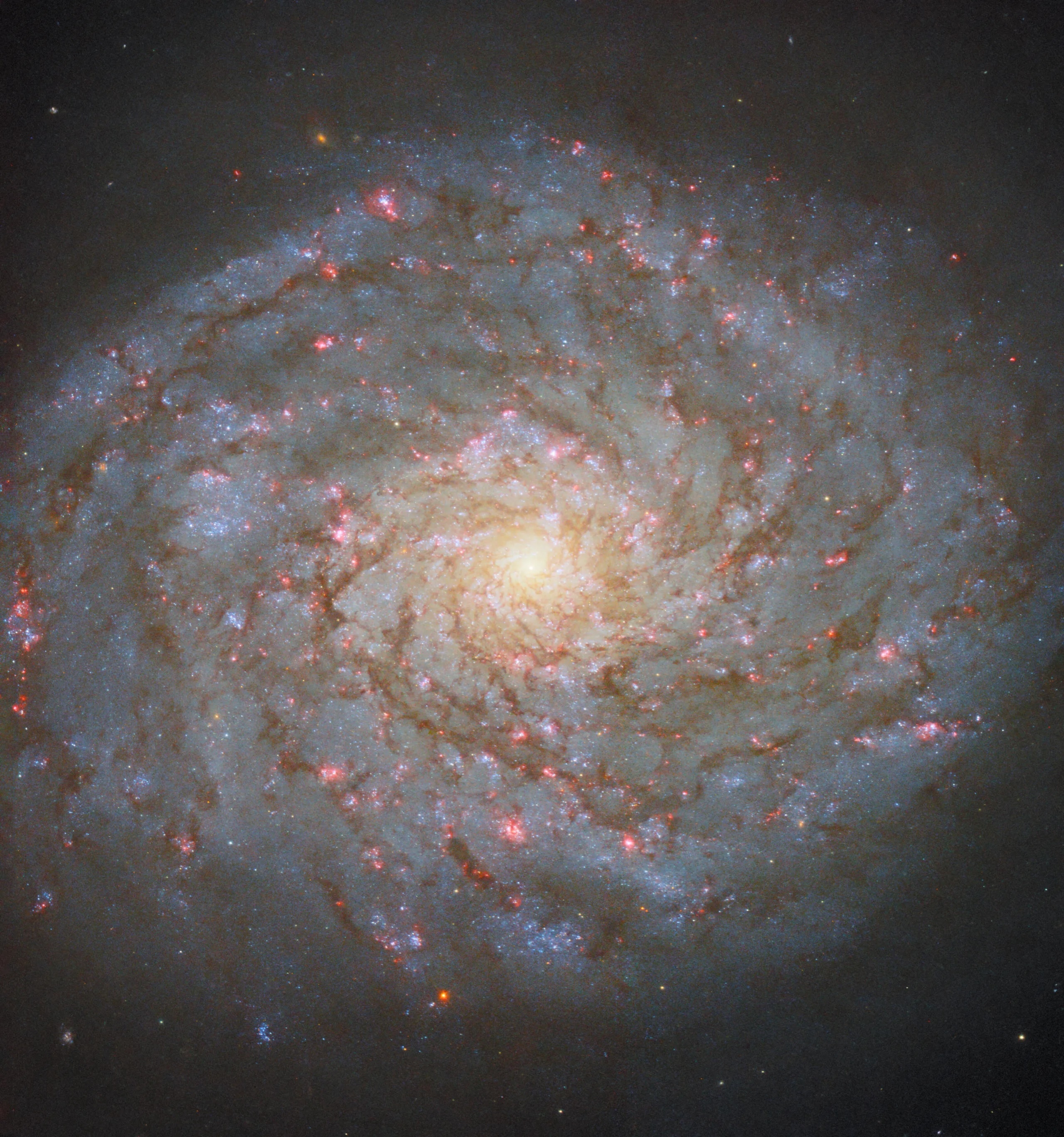 hubble-ngc4689-potw2421a