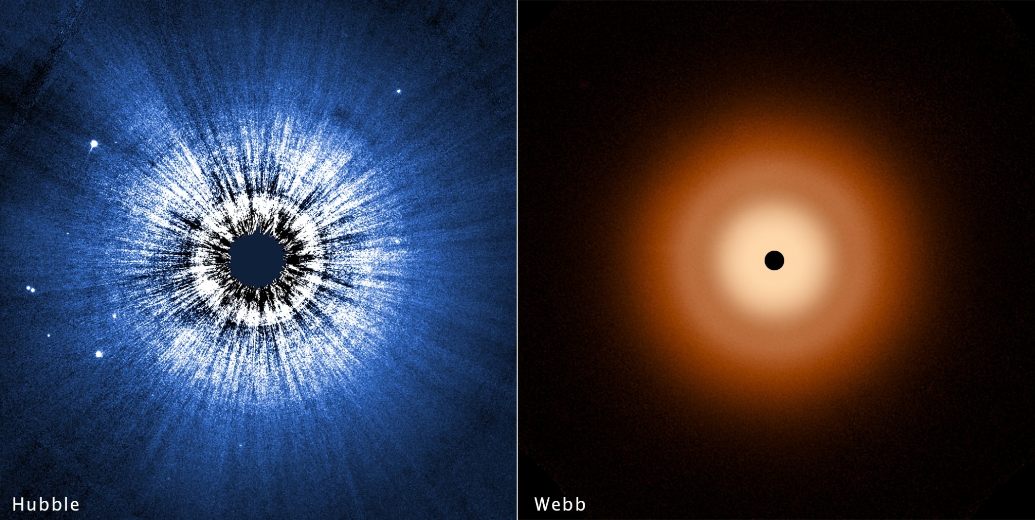 hubble-webb-vega-stsci-01jbf21me7kk818s3sn45zc3mf