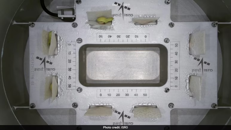 sbum6pjg-isro-cowpea-seed-experiment-625x300-04-january-25